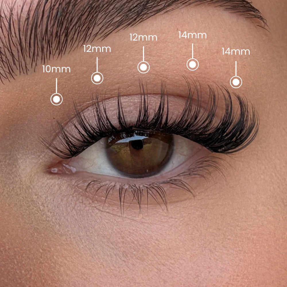 Lash Lift Kit – Förvandla dina fransar på 5 minuter